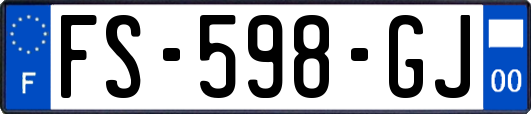 FS-598-GJ