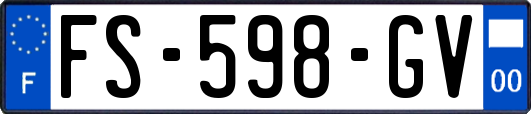 FS-598-GV