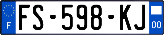 FS-598-KJ