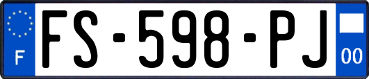 FS-598-PJ