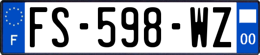 FS-598-WZ