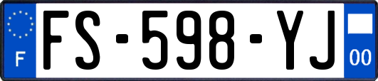FS-598-YJ