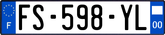 FS-598-YL