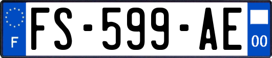 FS-599-AE