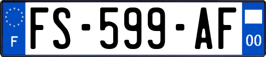FS-599-AF