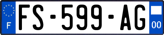 FS-599-AG