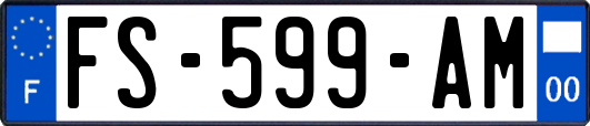 FS-599-AM