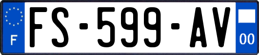 FS-599-AV