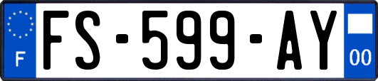 FS-599-AY