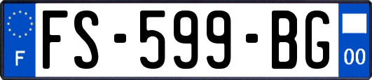 FS-599-BG