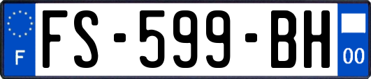 FS-599-BH