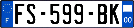 FS-599-BK