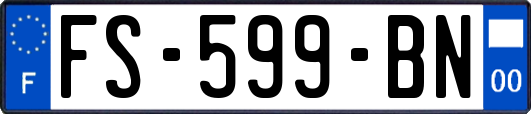 FS-599-BN