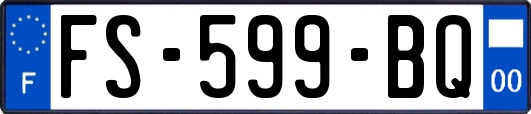 FS-599-BQ