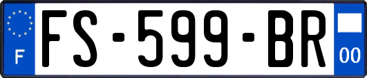 FS-599-BR