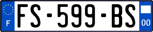 FS-599-BS