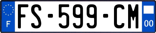 FS-599-CM