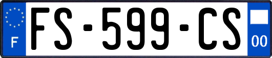 FS-599-CS