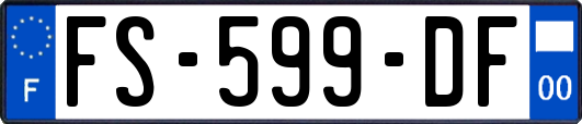 FS-599-DF