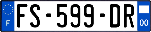 FS-599-DR