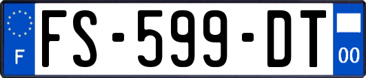 FS-599-DT