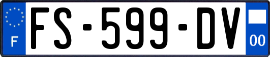 FS-599-DV