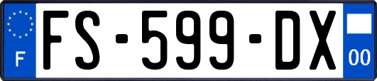 FS-599-DX