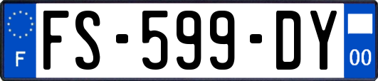 FS-599-DY