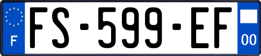 FS-599-EF