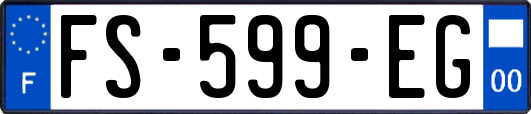 FS-599-EG