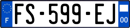 FS-599-EJ