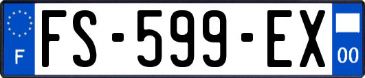 FS-599-EX