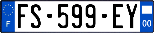 FS-599-EY