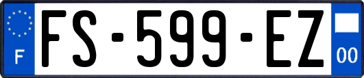 FS-599-EZ