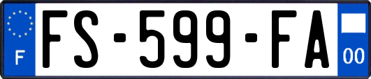 FS-599-FA