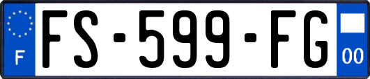 FS-599-FG