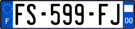 FS-599-FJ