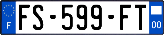 FS-599-FT