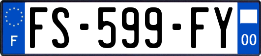 FS-599-FY