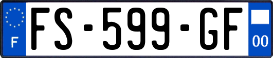 FS-599-GF
