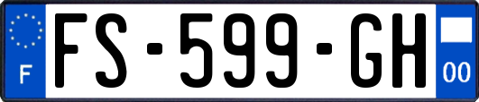FS-599-GH