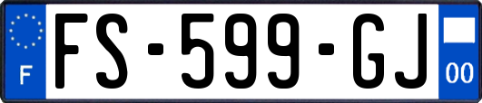 FS-599-GJ