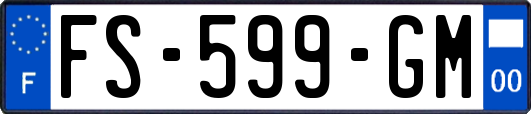 FS-599-GM