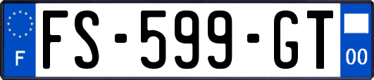 FS-599-GT