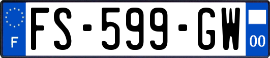 FS-599-GW
