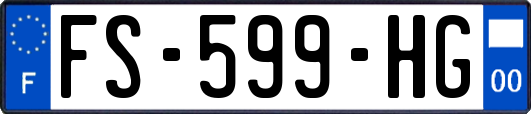 FS-599-HG