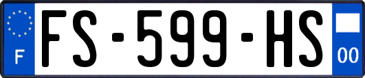 FS-599-HS