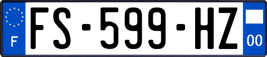 FS-599-HZ