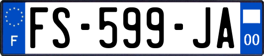 FS-599-JA