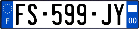 FS-599-JY